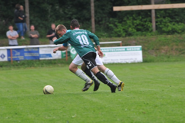 发展路径 发展路径