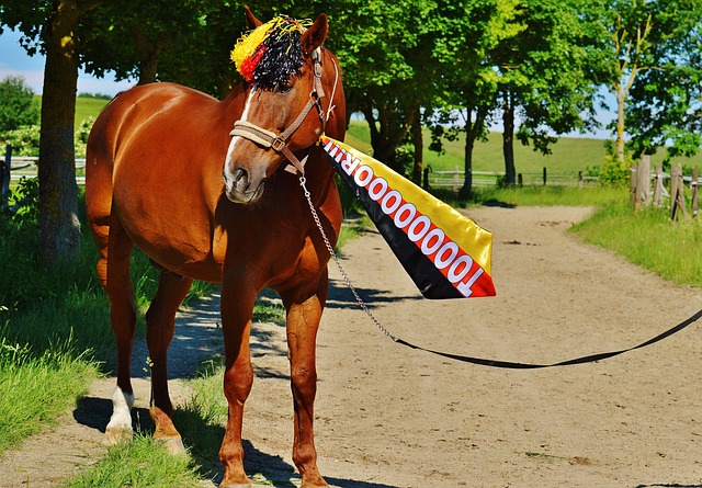 福建某地区 福建某地区