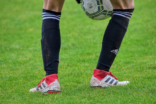 例比比皆是 例比比皆是