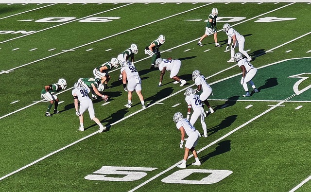 念的进步 念的进步