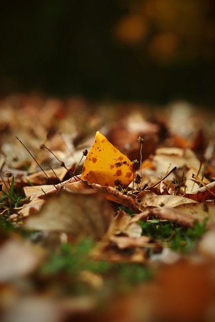 扰和赛场上 扰和赛场上