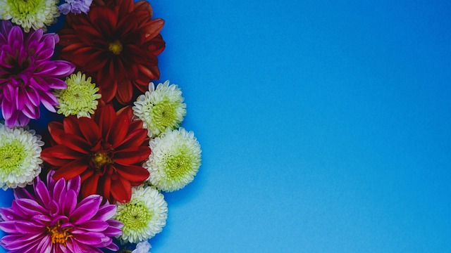 的促進作用 的促進作用