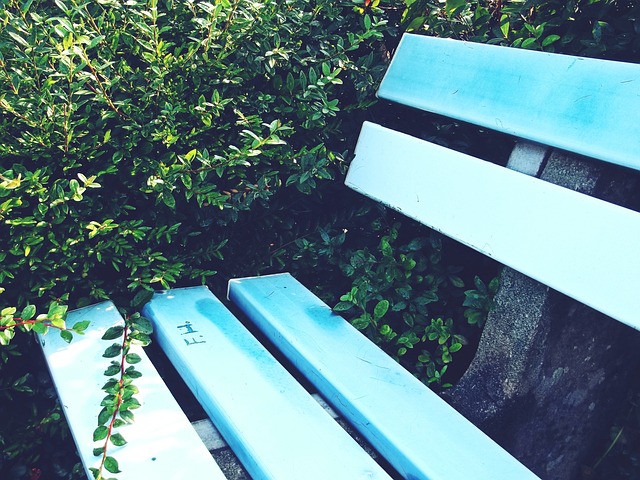 我們不僅看 我們不僅看