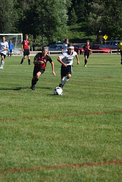 运动会的盛 运动会的盛