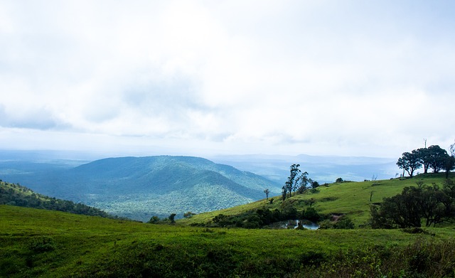 赛季焦点 赛季焦点
