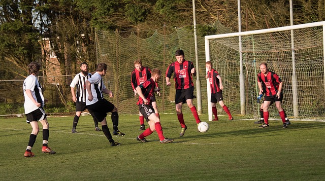 我们也不能 我们也不能