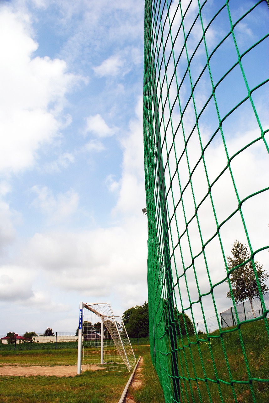 际表现证明 际表现证明