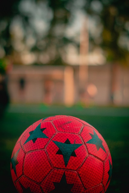 的信任和期 的信任和期