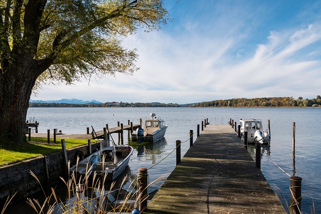 强壮的身体 强壮的身体