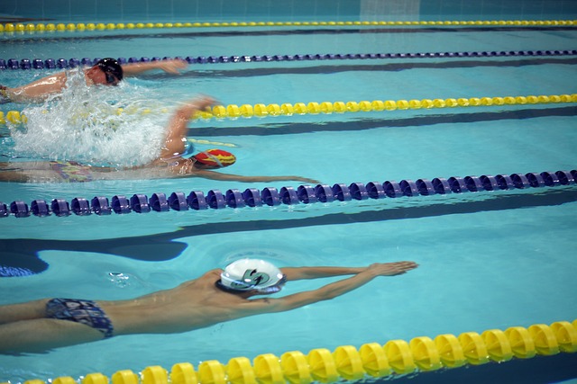 南美的机会 南美的机会