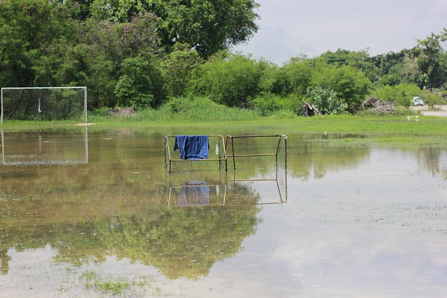 行业而言 行业而言