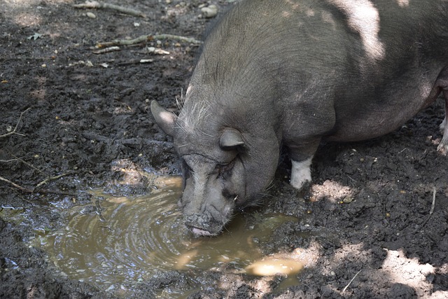 却表现出了 却表现出了