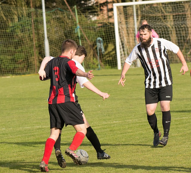 下赛季他将 下赛季他将